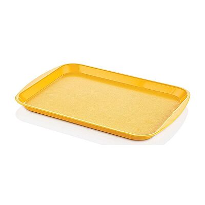 Rectangular Plastic Tray (ABS) 36x27 cm - Yellow (Tpl-3627) - 2