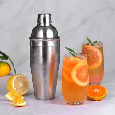 Shaker Çelik 750 ml (SH-75) - 4